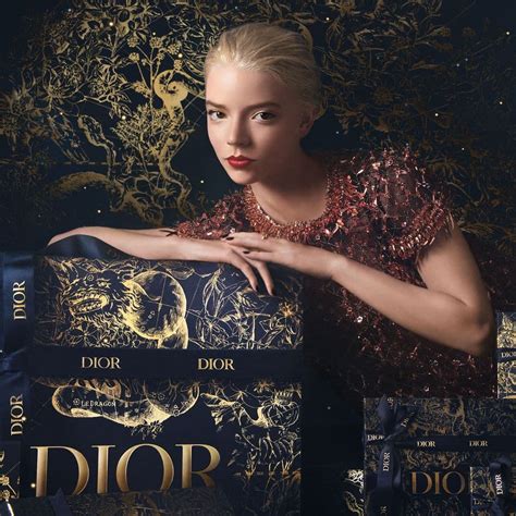 dior flyer|christian dior ads.